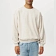 mens sweatshirt